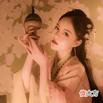 【爱历史】《丑女神医：农门太子妃》她被推进湖里，回到千年前，9.9分上榜