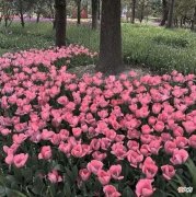 【游戏迷】背景图＋头像︱只是偶尔被需要，从来没有很重要