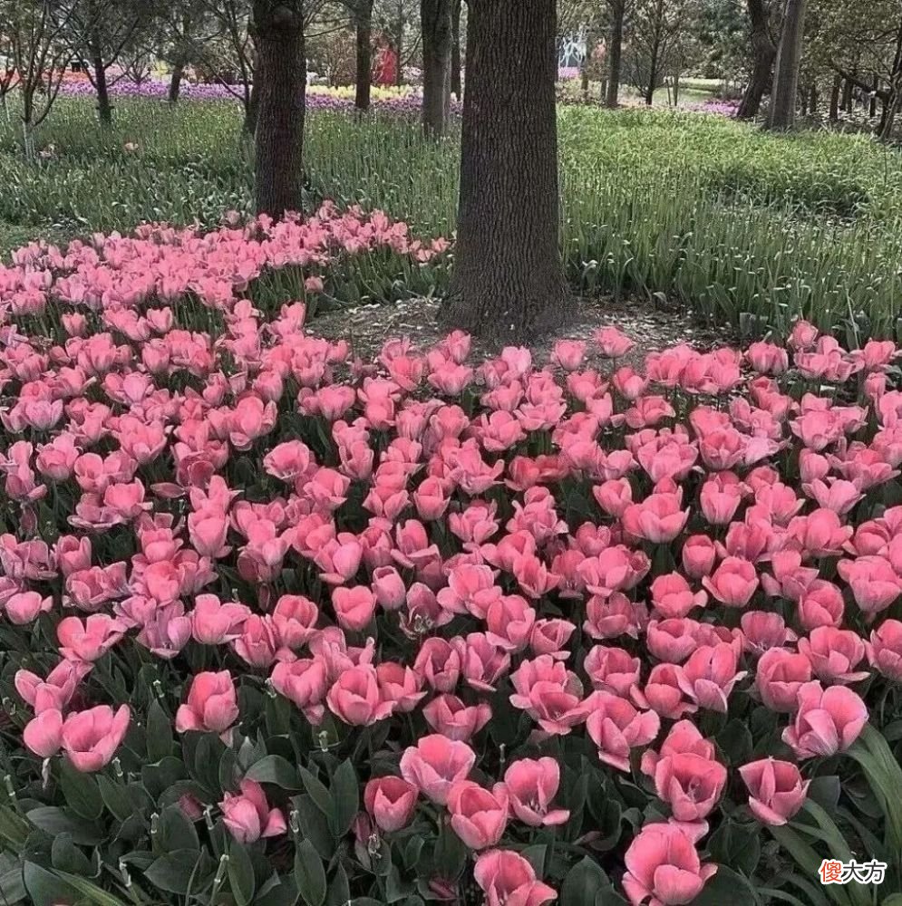 【游戏迷】背景图＋头像︱只是偶尔被需要，从来没有很重要