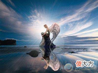 做梦梦见天使好不好(图文)