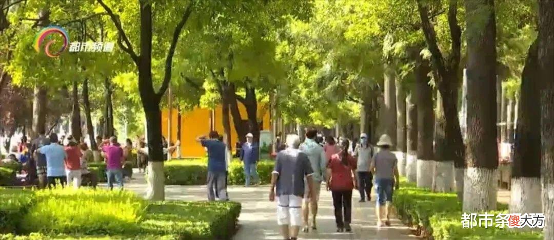 【历史故事】想知道，在云南有多少人和你重名吗？