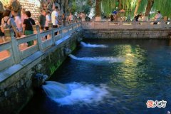 【时尚一点】泉影璀璨夜色亮丽 活力消费点燃“夜经济”