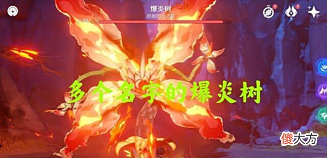 【游戏世界】原神:那些你不知道的细节小知识!风种子原来可以这样用?