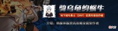 【游戏迷】DNF：110版本史诗左槽怎么选？国服特色是否必选魔法箱？