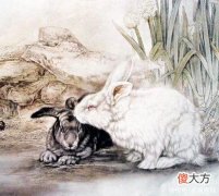 【星座控】7月赚钱事业更有起色的生肖，存款暴增，贵人一个接一个来
