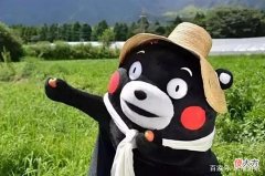 【游戏迷】吉祥物带你畅游一夏，决战平安京熊本熊联动玩法一览