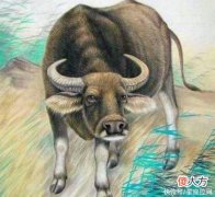 【星座控】家庭成员是哪3个生肖，一家人少吵嘴，多聚福，七月多金多财