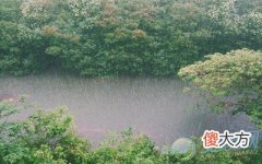 梦见暴雨(图文)