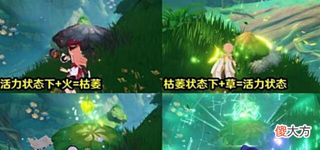 【游戏迷】原神:米宝被舅舅逼急了,放出须弥前瞻资讯,草元素反应来了
