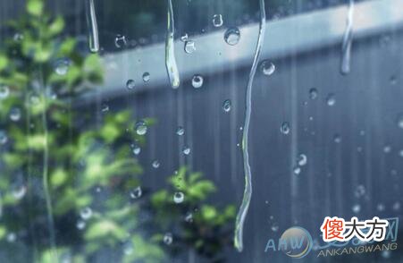梦见雨水(图文)