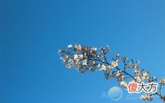 梦见晴空万里(图文)