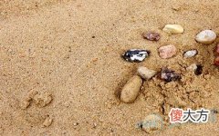 梦见沙土(图文)