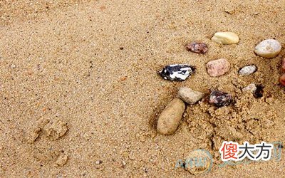 梦见沙土(图文)