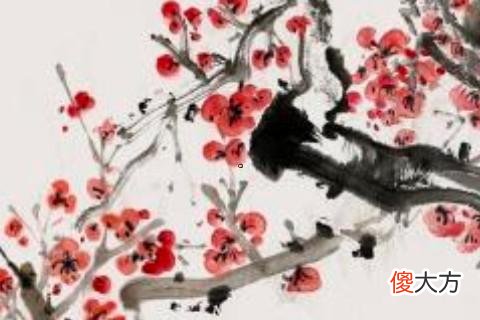 不会理财的星座女