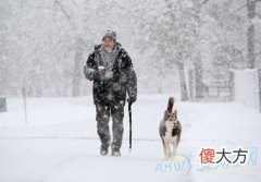 梦见下大雪是什么意思(图文)