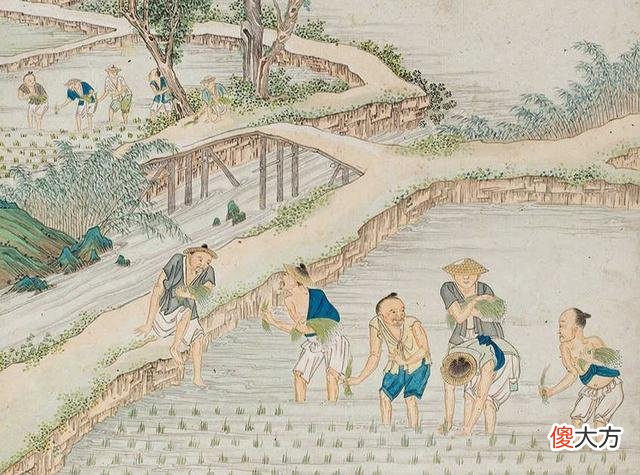 【历史故事】中国人的种菜能力，究竟有多强？用7％的土地养活了22％的人口
