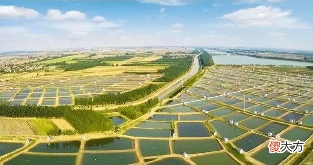 【历史故事】被一场洪水重塑的黄河