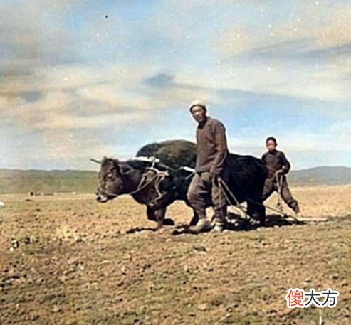 【历史故事】老照片:1940年的内蒙古,包头农民春耕时的唯美老照片