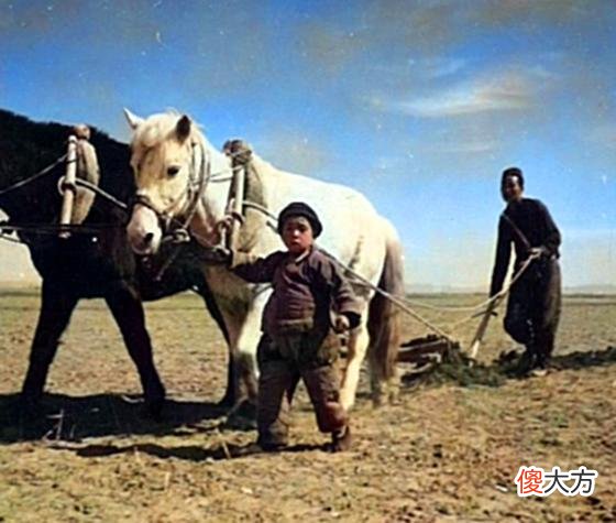 【历史故事】老照片:1940年的内蒙古,包头农民春耕时的唯美老照片