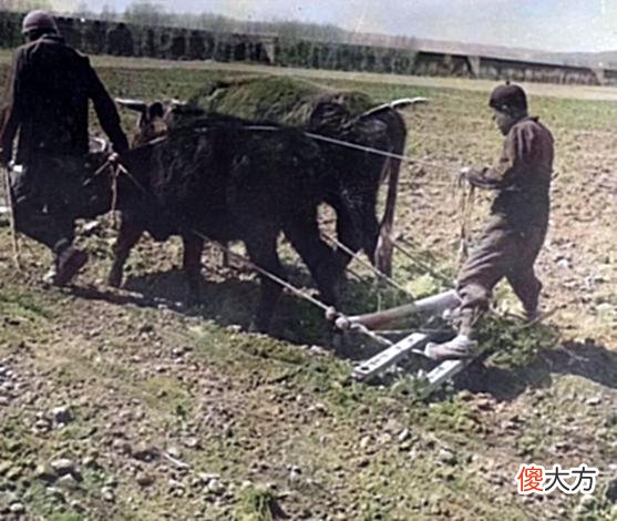 【历史故事】老照片:1940年的内蒙古,包头农民春耕时的唯美老照片