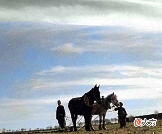 【历史故事】老照片:1940年的内蒙古,包头农民春耕时的唯美老照片