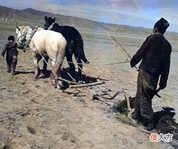 【历史故事】老照片:1940年的内蒙古,包头农民春耕时的唯美老照片