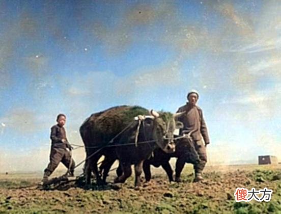 【历史故事】老照片:1940年的内蒙古,包头农民春耕时的唯美老照片