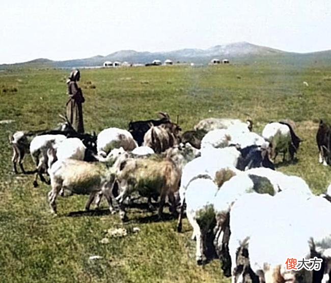 【历史故事】内蒙古乌兰察布老照片：1941年8月四子王旗的风土人情