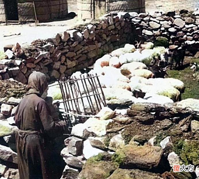 【历史故事】内蒙古乌兰察布老照片：1941年8月四子王旗的风土人情