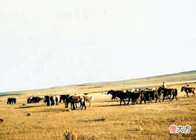 【历史故事】内蒙古乌兰察布老照片：1941年8月四子王旗的风土人情