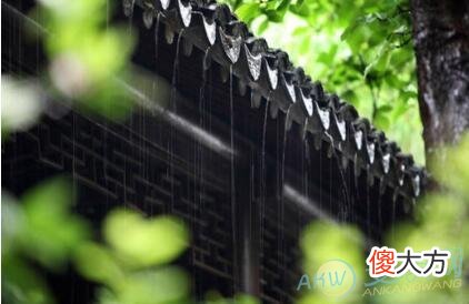 做梦梦见梅雨好不好(图文)
