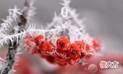 做梦梦见霜降好不好(图文)