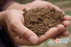 梦见泥土(图文)
