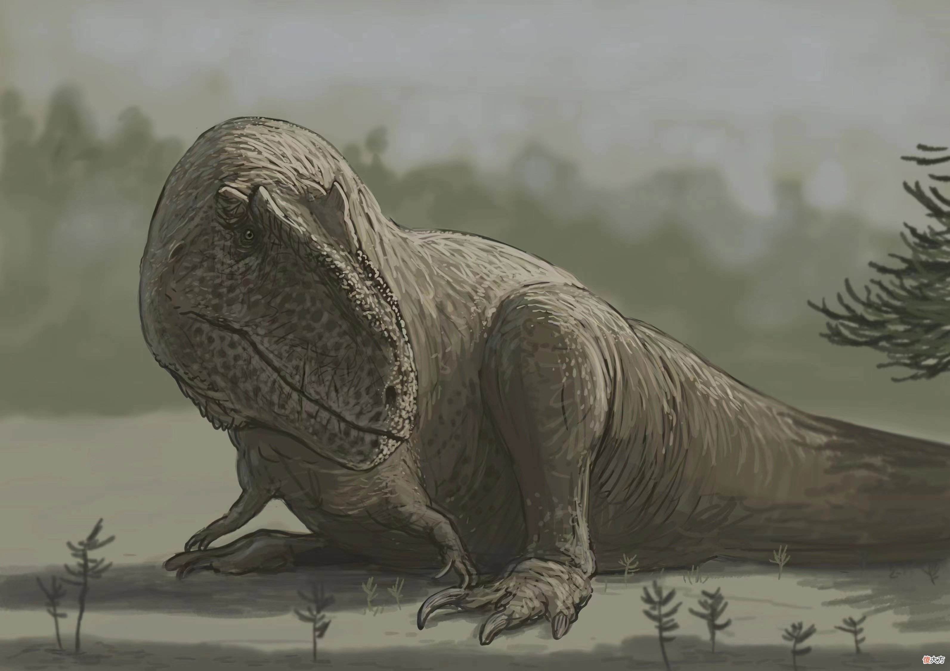 【历史故事】古生物学家发现南美洲最完整的鲨齿龙科化石