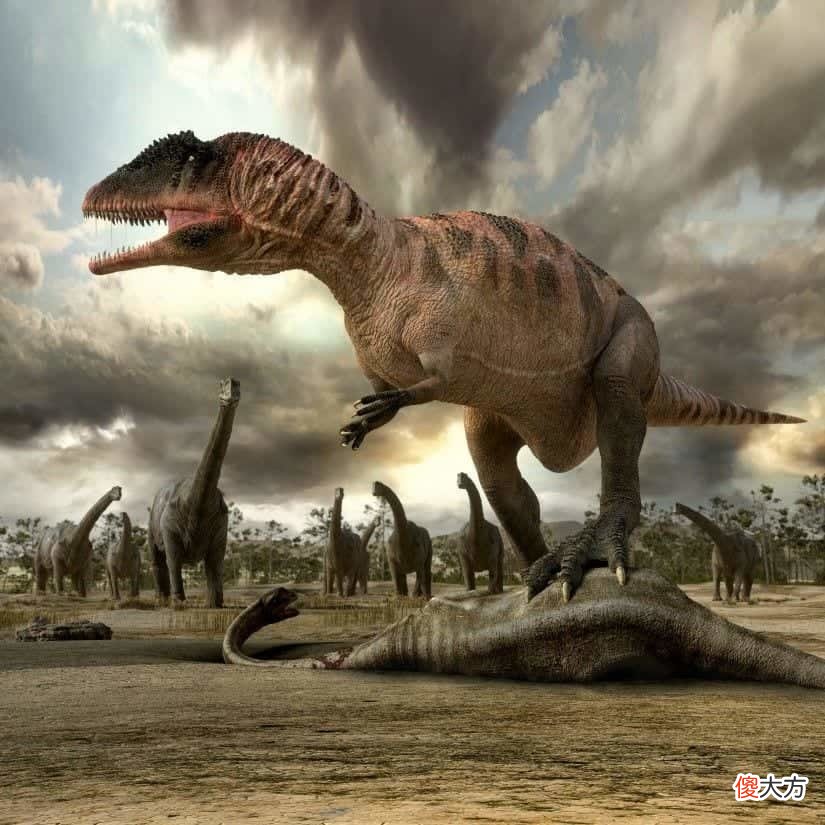 【历史故事】古生物学家发现南美洲最完整的鲨齿龙科化石