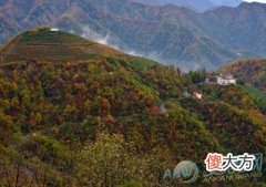 做梦梦见大山好不好(图文)