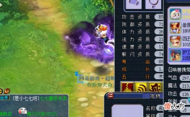 【游戏迷】大话西游2玩家展示的个性宠，它居然是双特殊技能