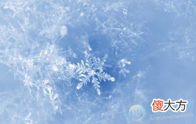 梦见美丽的雪花(图文)