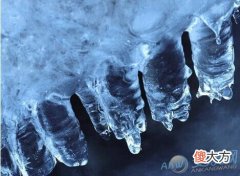 梦见水结冰(图文)