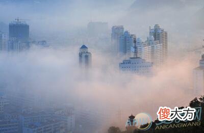 做梦梦见大雾好不好(图文)