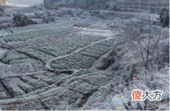 做梦梦见霜好不好？了解象征含义(图文)