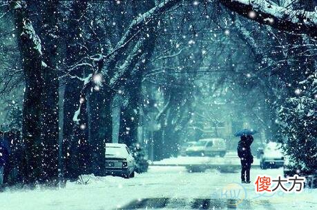 梦见飘雪花(图文)