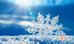 梦见天上飘雪花(图文)
