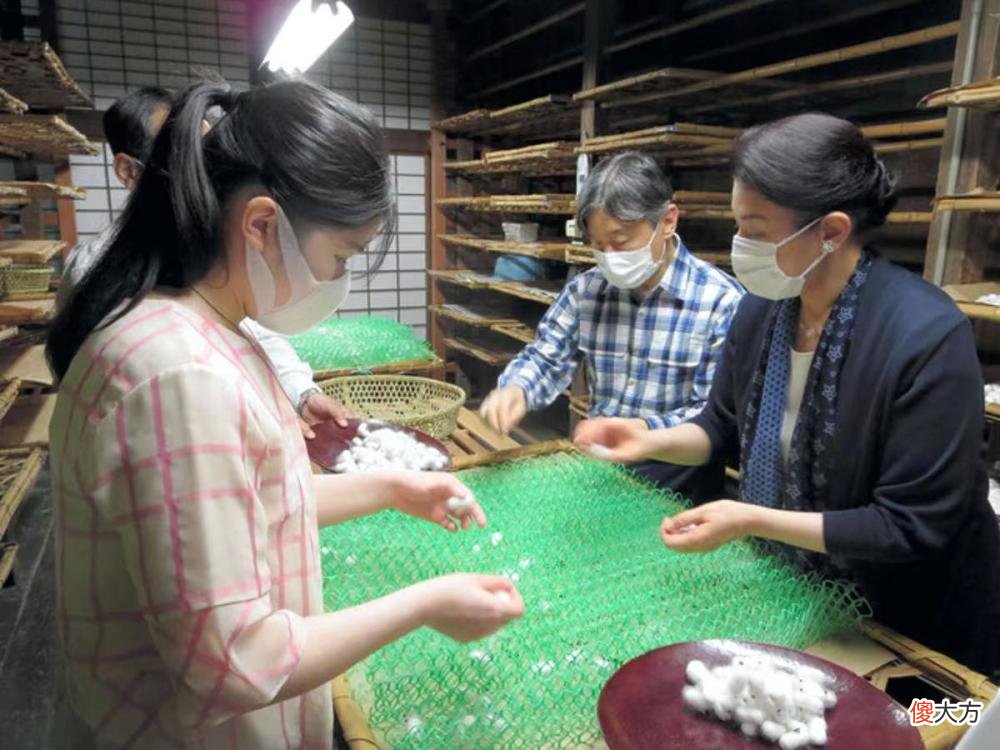 【就爱时尚】日本天皇一家三口养蚕，20岁爱子肤如凝脂，矫正牙齿后成逆袭公主