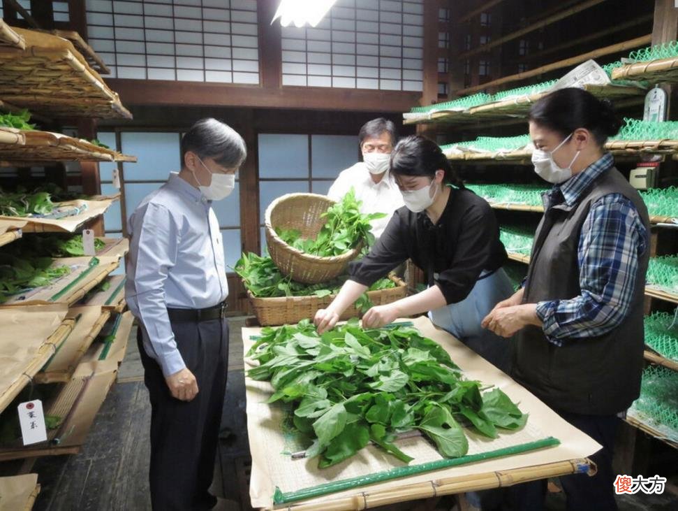 【就爱时尚】日本天皇一家三口养蚕，20岁爱子肤如凝脂，矫正牙齿后成逆袭公主