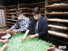 【就爱时尚】日本天皇一家三口养蚕，20岁爱子肤如凝脂，矫正牙齿后成逆袭公主
