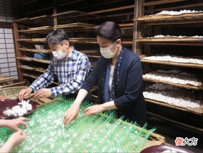 【就爱时尚】日本天皇一家三口养蚕，20岁爱子肤如凝脂，矫正牙齿后成逆袭公主