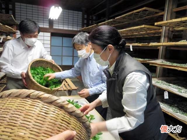 【就爱时尚】日本天皇一家三口养蚕，20岁爱子肤如凝脂，矫正牙齿后成逆袭公主