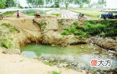 梦见臭水(图文)