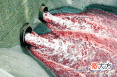 梦见红水(图文)